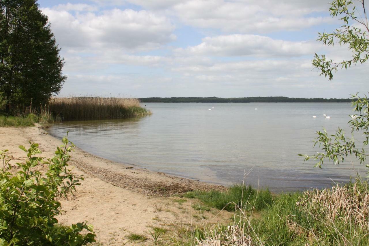 Ferienwohnung Felix am See Joachimsthal Exterior foto